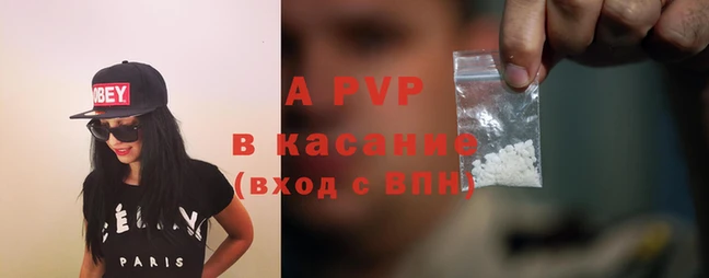 хмурый Аркадак