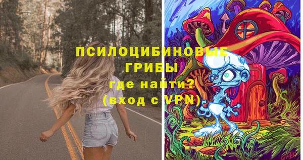 МДПВ Алзамай