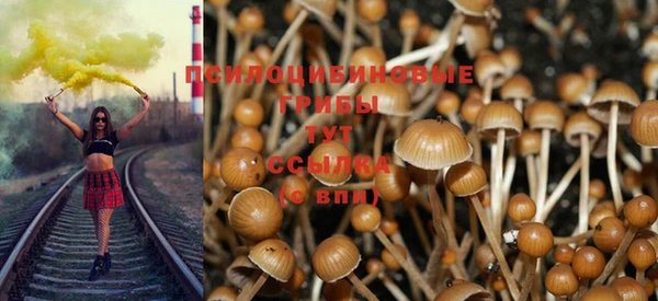 дмт Алексеевка