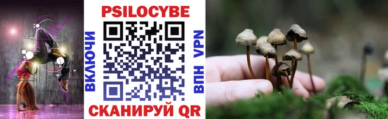 Купить закладки Нижнекамск Галлюциногенные грибы Psilocybe
